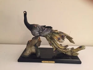 Peacock - Picture 1 of 11