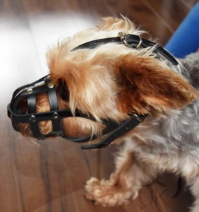 Bozal de cuero ligero para perro para mini jarra Chihuahua Yorkshire Terrier y otros - Imagen 1 de 9