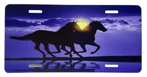 Horse Theme Vehicle Car Auto Plate Tag Standard Size Horses Sunset Beach NEW - Picture 1 of 3