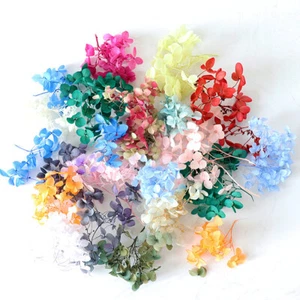 1g Hydrangea Dried Flower DIY Handmade Epoxy UV Resin Aromatherapy Candle Craft - Picture 1 of 26