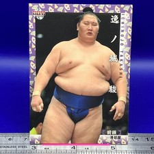 Ichinojo Takashi 18 Sumo Wrestler Trading Card BBM 2018 TCG Japanese #208a