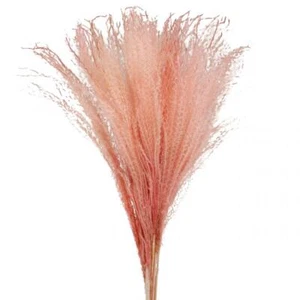 Miscanthus Chinaschilf Hellrosa Trockengras 75cm Kunstpflanze Raumdeko 10 Stk - Bild 1 von 4