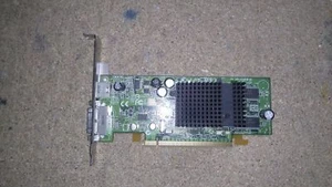 Carte graphique DELL ATI CN-0CD453 X600 128MB DVI VIDEO - Photo 1/1