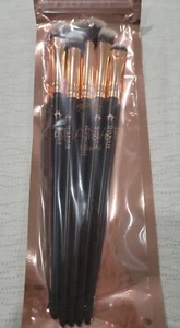 Shaina B Eyes on Miami Pro 5-teiliges Pinselset Augen VERSIEGELT - Bild 1 von 2