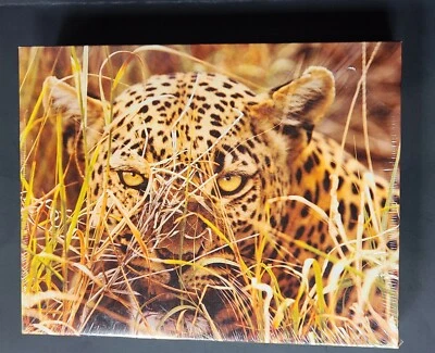New Springbok Leopard Eyes 500 Piece Jigsaw Puzzle New Sealed - Image 1 of 4