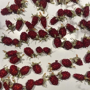 Lote grande vintage de frambuesas con cuentas de plástico Appt 60 - Imagen 1 de 6