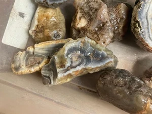 Z~ Botswana Achat 5 Pfund Lot # 2 - Bild 1 von 6