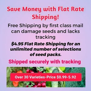 Seeds Vegetable Herb NON-GMO Organic Radish Georgia Collards Bush Contender Bean - Picture 1 of 251