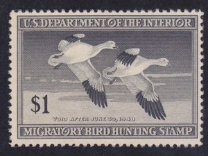 US RW14 MNH OG 1944 $1 Snow Geese Duck Hunting Stamp VF - Picture 1 of 1