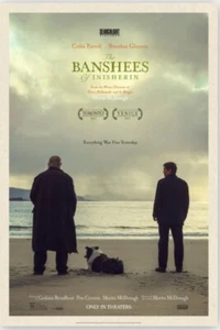 The Banshees of Inisherin Double Sided Original Movie Poster 27×40 inches F111F - Picture 1 of 2