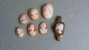 Shell? CAMEOS mixed sizes jewellery making jewelery craft D2.r - Picture 1 of 2