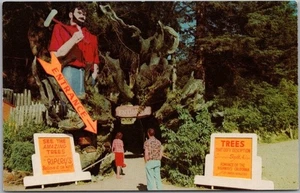 c1950s TREES OF MYSTERY Klamath / Redwoods Calif. Postcard PAUL BUNYAN & Babe - Bild 1 von 2