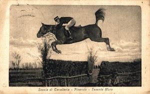 PINEROLO, Torino - Scuola di Cavalleria - Equitazione - Campo a Ostacoli - #104 - Picture 1 of 2