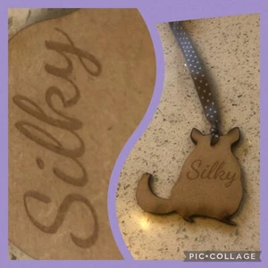 sign plaque sign tag Mouse Mice Small Animal Pet owner crazy Lover personalised - Picture 1 of 10