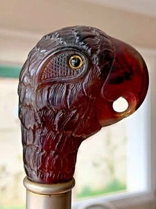 CARVED AMBER OF HIGH QUALITY ANTIQUE EXLUSIVE WALKING STICK "PARROT HEAD" RARE - Picture 1 of 9