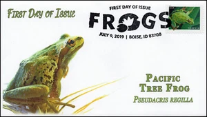 19-179, 2019, Frogs, Pictorial Postmark, First Day Cover, Pacific Tree Frog - Picture 1 of 1