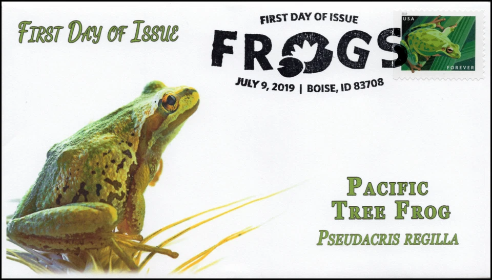 19-179, 2019, Frogs, Pictorial Postmark, First Day Cover, Pacific Tree Frog - Image 1 of 1