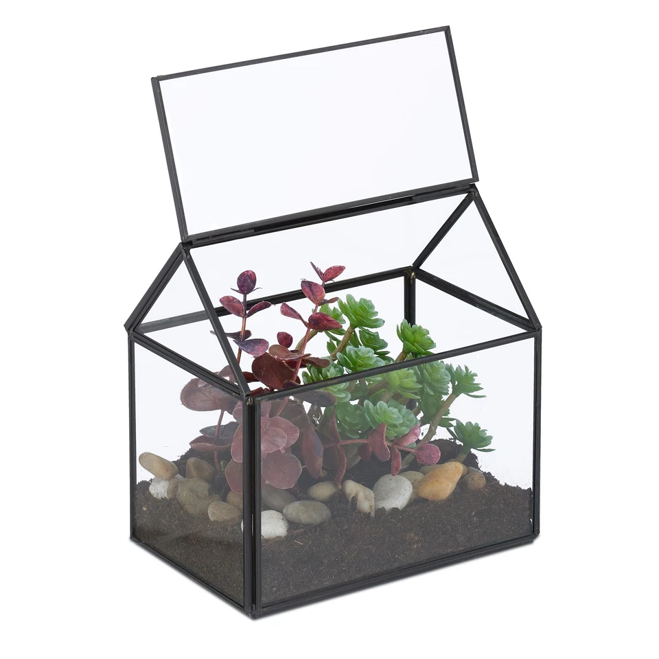 Pflanzenterrarium Kakteenhaus Mini Gewächshaus Florarium Glaskasten Glas indoor - Bild 1 von 1