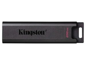 KINGSTON USB-Stick DT-Max 256GB - Bild 1 von 2