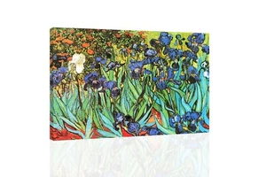 Irises Van Gogh - GICLEE ART PRINT 12 x 15 Many Sizes - Picture 1 of 3