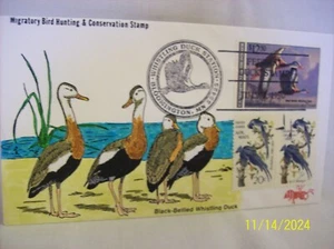 Primera portada de la línea B para el sello Federak Duck 1990 2/2 - Imagen 1 de 1