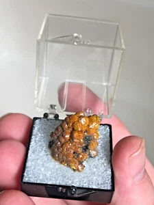 Mimetite, var. "Campyllite", Roughton Gil mine, Cumbria, England, thumbnail - Picture 1 of 12