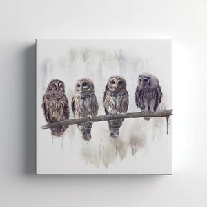 Barred Owls Birds Canvas Print Wall Art, Stylish Home Decor Wall Hanging - Picture 1 of 12