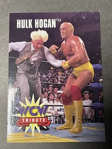 1995 CARDZ - Evento Principal de la WCW - #86 - Hulk Hogan - Tributo - Imagen 1 de 2