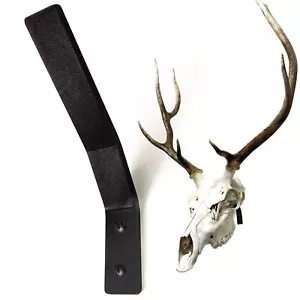 European Mount Skull Hanger, Large Euro Mount Deer Skull Hangers for Deer Head - Picture 1 of 7