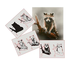 AS-376 Raccoon step by step stencil template acryl airbrush spray wall paint - Bild 1 von 3