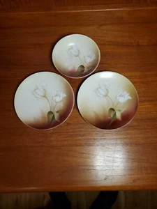 RS Germany 1 - Fruit Berry Bowl And 2 Dessert Plate Brown with White Tulips - Picture 1 of 6