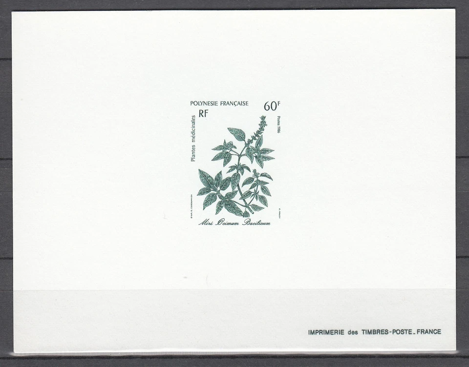 Лекарственные растения Polynesia Sc451, Ocimum bacilicum, Deluxe Proof - Изображение 1 из 1