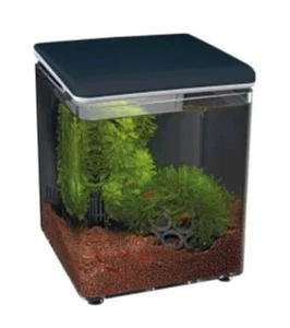 Superfish Home 8L Mini Aquarium Fish Tank - Picture 1 of 1