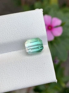 2.80 carats stuning faceted bi colour Tourmaline from Afghanistan - Picture 1 of 12