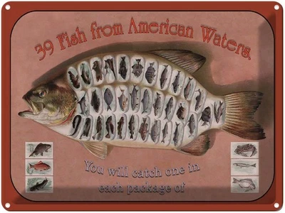 Blechschild 30x40 cm Fisch 39 Fish from american Waters Deko Geschenk Metall Sch - Bild 1 von 4
