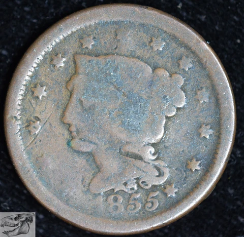 1855 Braided Hair Large Cent, Slant 5's, N-10 Variety, Good- Condition, C6337 Cover