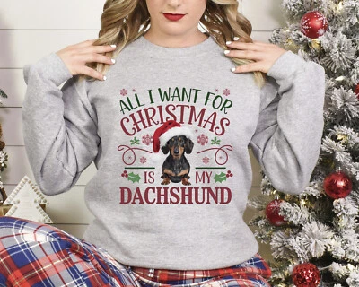 Sudadera de Navidad Suéter de Navidad Dachshund Amante del Perro Navidad Jumper Día Festivo Foto 1 de 4
