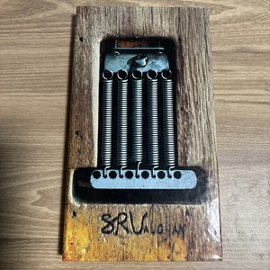 SRV [Box] by Stevie Ray Vaughan (CD, Nov-2000, 4 Discs, Legacy) - Foto 1 di 6