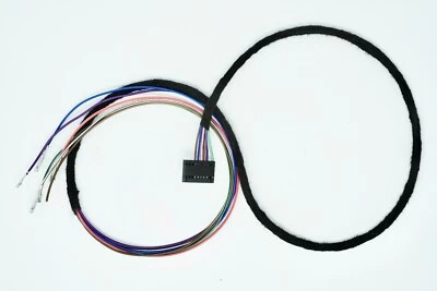 Cable de cableado Smart Roadster medidor de temperatura y impulso cápsula modernizado Foto 1 de 3