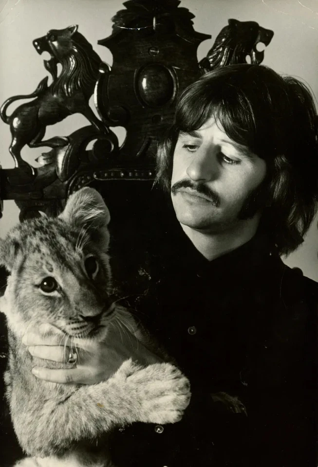 Ringo Starr Photograph 1968 - Image 1 of 1