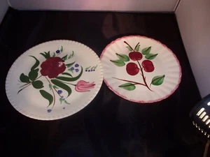 Two Blue Ridge Southern Potteries Inc Hand Painted Floral Plates USA - Picture 1 of 5