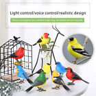 Simulated Bird Toy Desktop Singing with Light Sound Battery Operated Fake Model