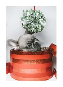 Poster Gift giving Poster arredo camera soggiorno Poster moderno made in italy - Picture 1 of 30