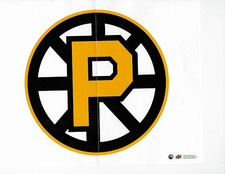 PROVIDENCE BRUINS 2017-18 UD AHL 10 X 8 TEAM MINI POSTER RARE BOX TOPPER 