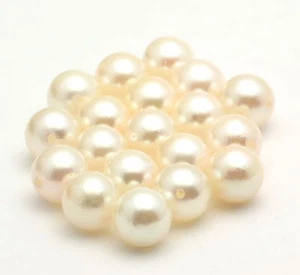 5MM PEARLS EXTRA PEARLS FOR YOUR ADD ON PEARL (20) A FAMILY TRADITION - Foto 1 di 1