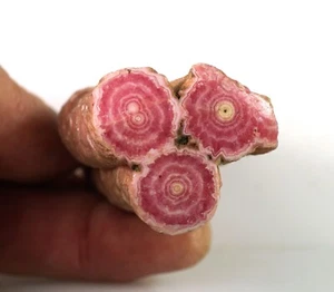 RHODOCHROSITIS STALAKTIT (#01) - Argentinien - Bild 1 von 7
