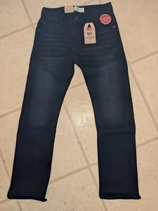Levi's Boys Jeans 10 Reg Slim Fit Adjustable Waist Stretch 25x25 Waist 26 In - Picture 1 of 12