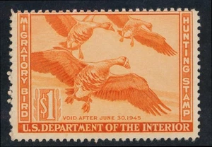 UNITED STATES (US) RW11 MINT FINE NH $1 ORANGE GEESE DUCK - Picture 1 of 2