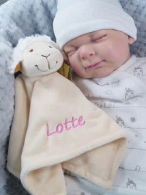 ❤️ Schmusetuch bestickt mit Namen ❤️ Schnuffeltuch ❤️ Kuscheltuch ❤️ GESCHENK  ❤ - Bild 1 von 2