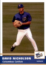 2005 Columbus Catfish Grandstand #9 David Nicholson Anaheim California CA Card